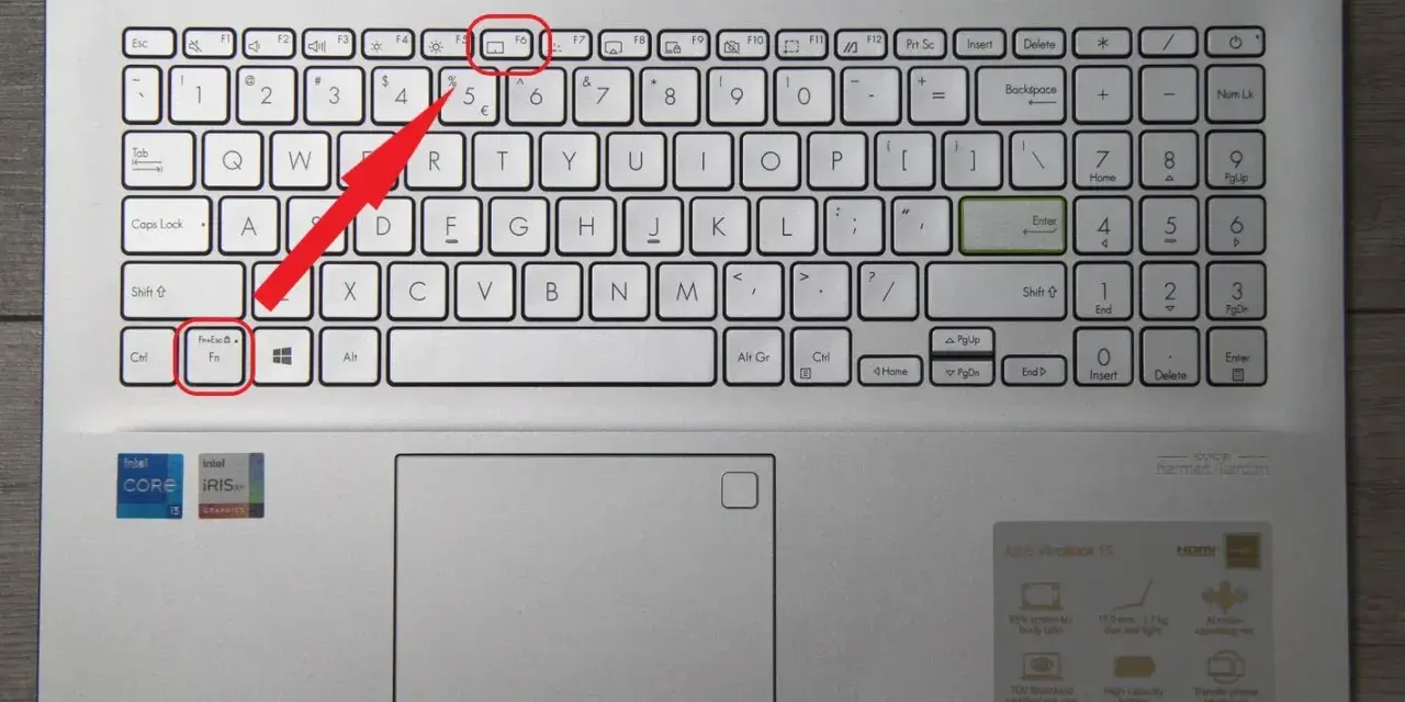 Klawisz Fn+Esc do włączenia touchpada HP.