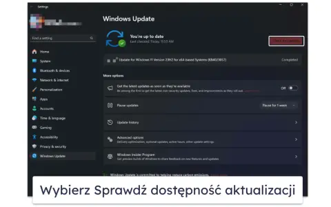 Ekran Ustawień Windows z sekcją Windows Update. Kliknij "Sprawdź dostępność aktualizacji", aby dowiedzieć się, jak włączyć aktualizacje Windows 10.