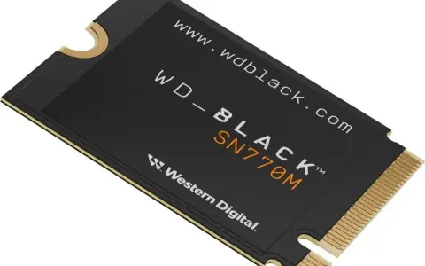 Dysk SSD WD_BLACK SN770M w formacie m.2 2230, z logo Western Digital.