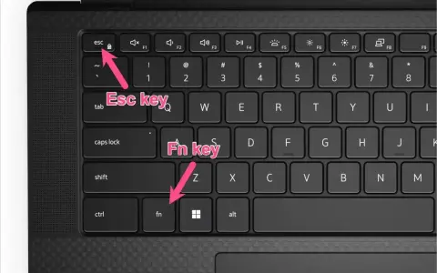 Klawiatura laptopa z zaznaczonymi klawiszami Esc i Fn. Dowiedz się, jak zresetować klawiaturę skrótem klawiszowym.