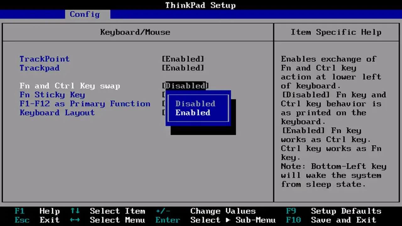 Ustawienia BIOS ThinkPad: jak włączyć laptopa za pomocą klawiatury, opcje TrackPoint, Trackpad, zamiana klawiszy Fn i Ctrl.