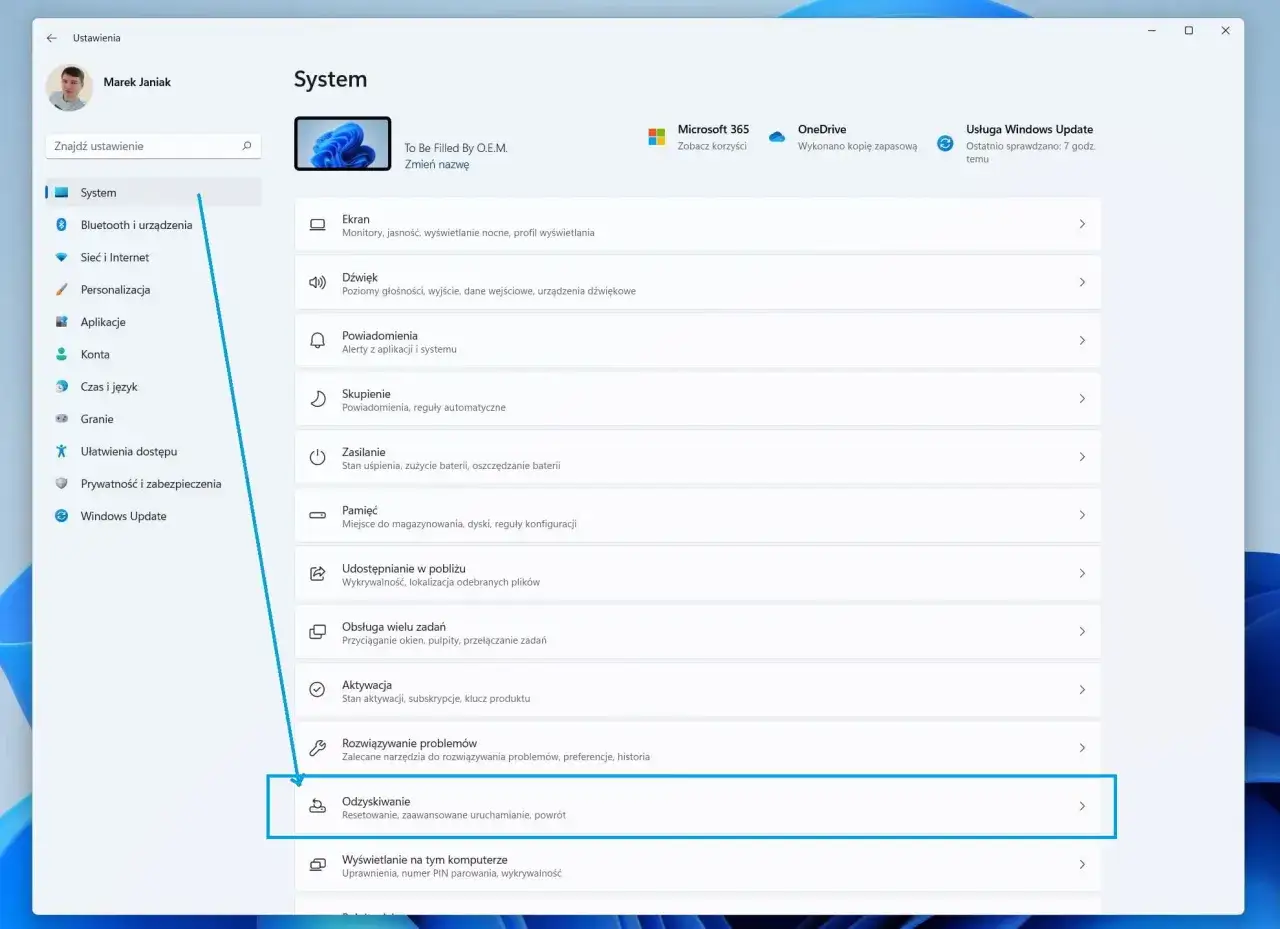 Ustawienia systemu Windows 11, sekcja 